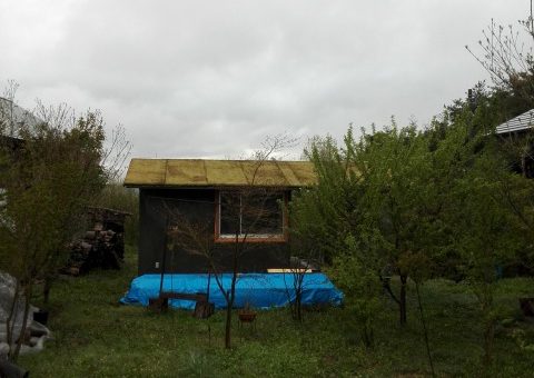屋根緑化コケ屋根の小屋。コケマットとは？