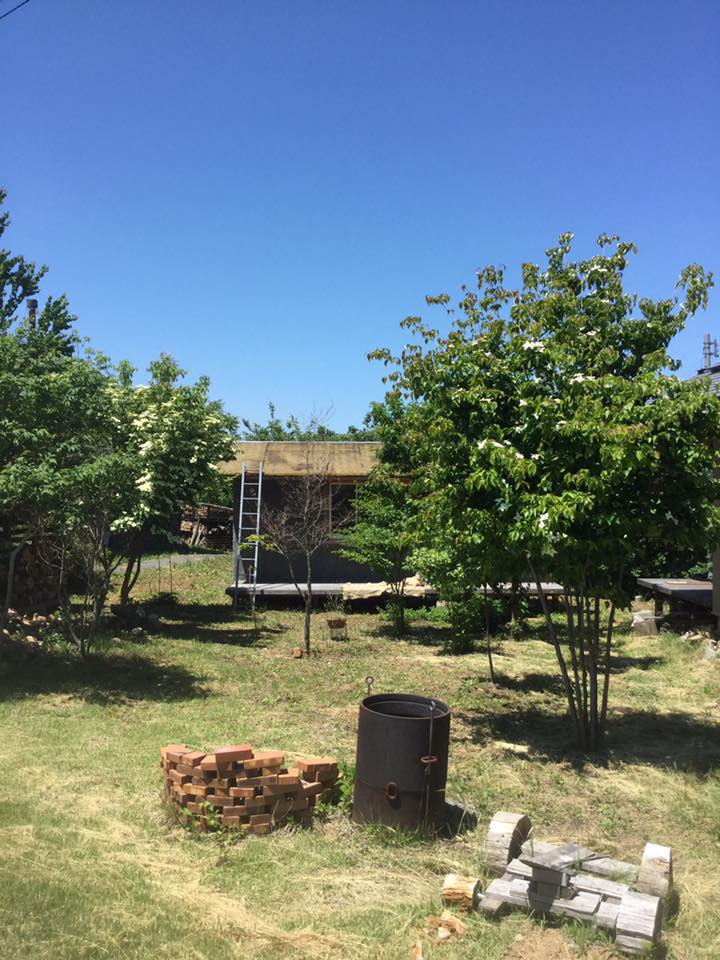 コケ屋根の小屋とヤマボウシ