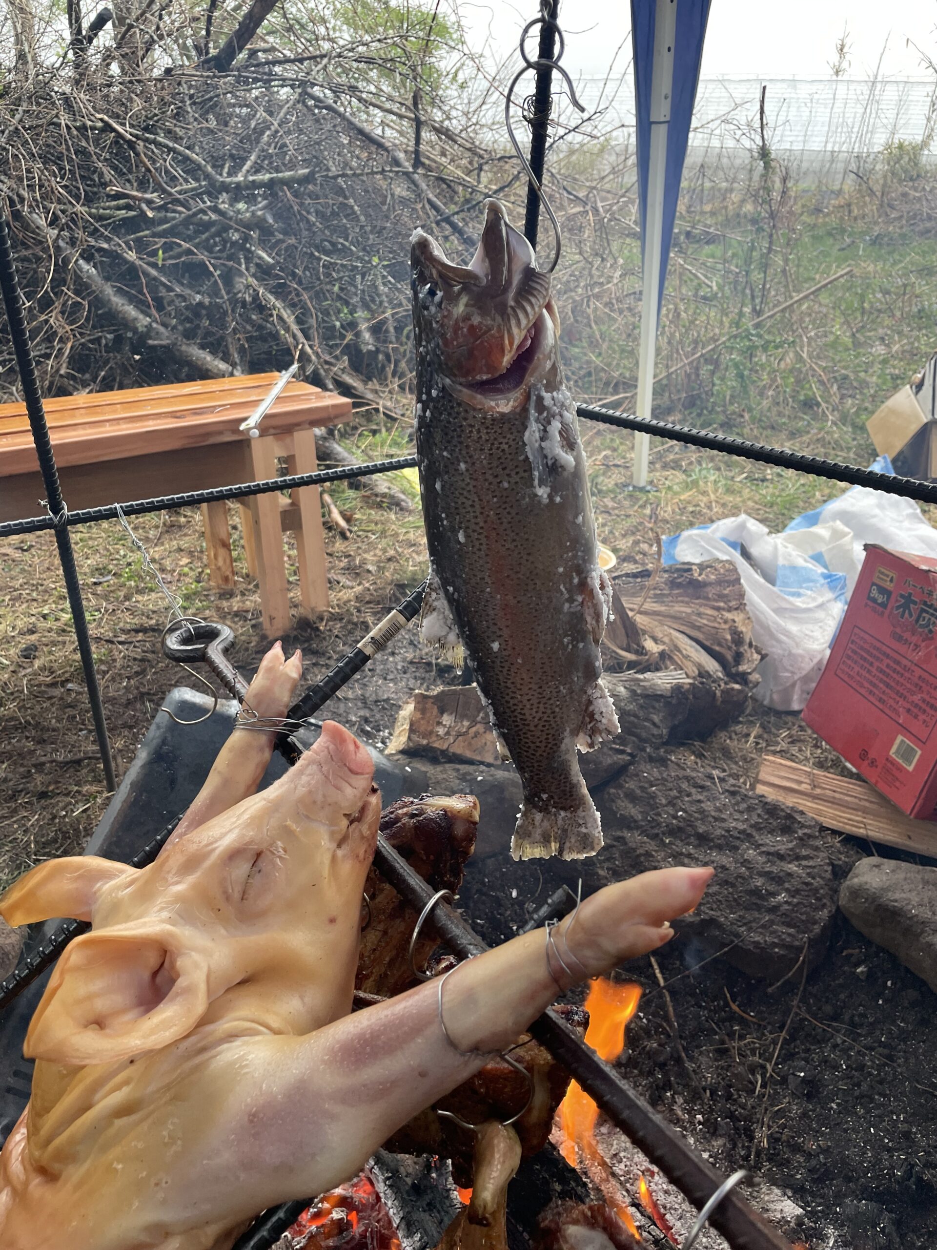 A2D32AD3-6C0C-4FBC-A8A1-DA3D86FF48F5