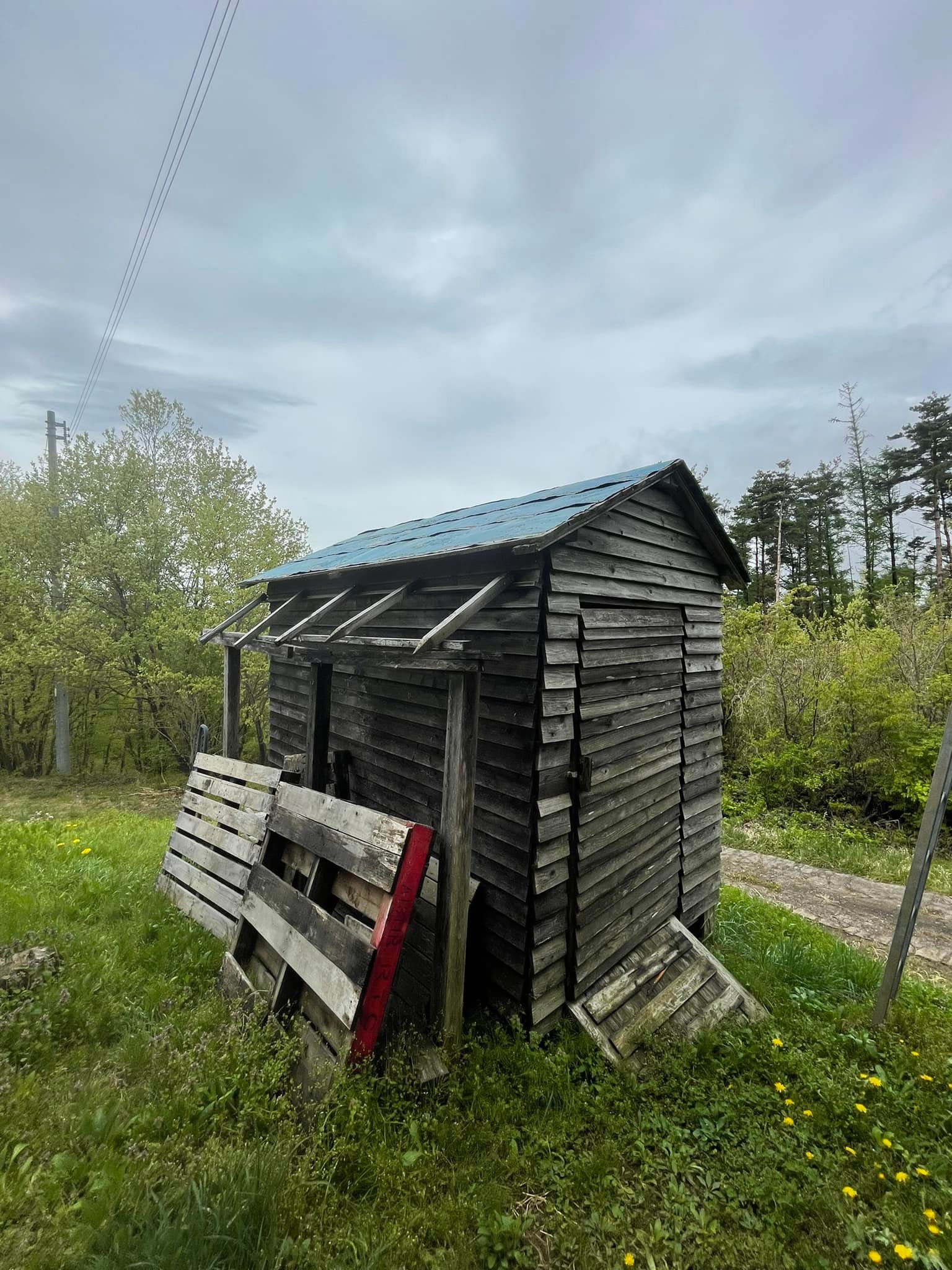 343784393_209176791824273_2602028181722878087_n