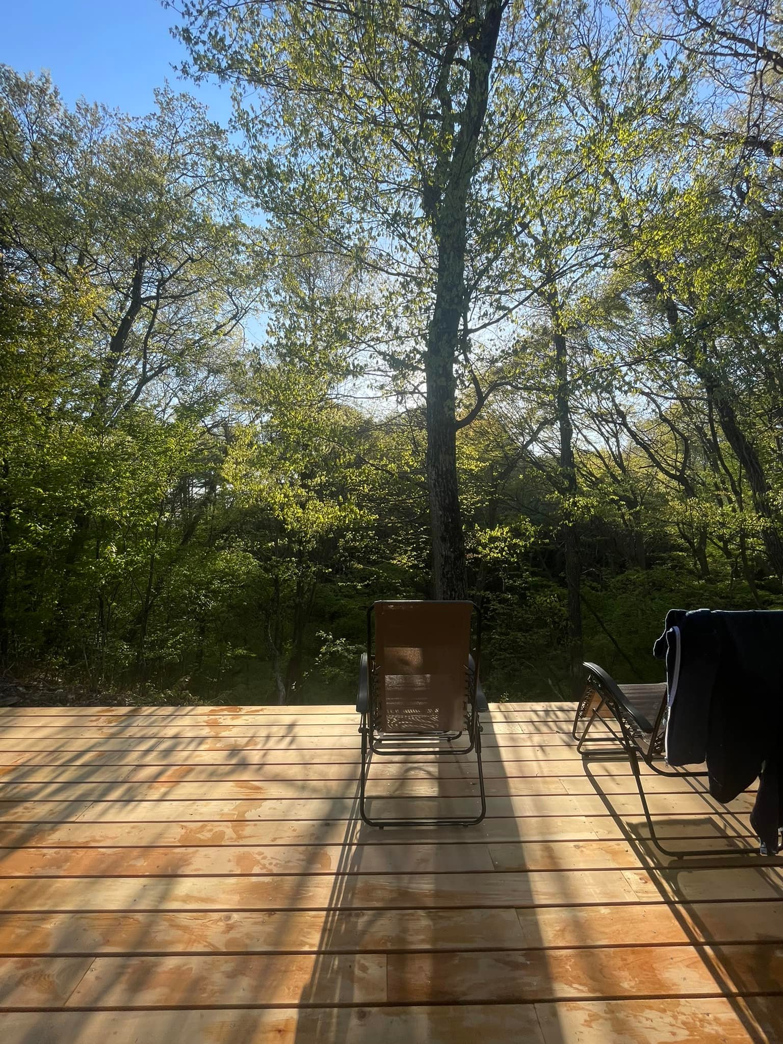 344746683_224796230170150_2843649201214494280_n