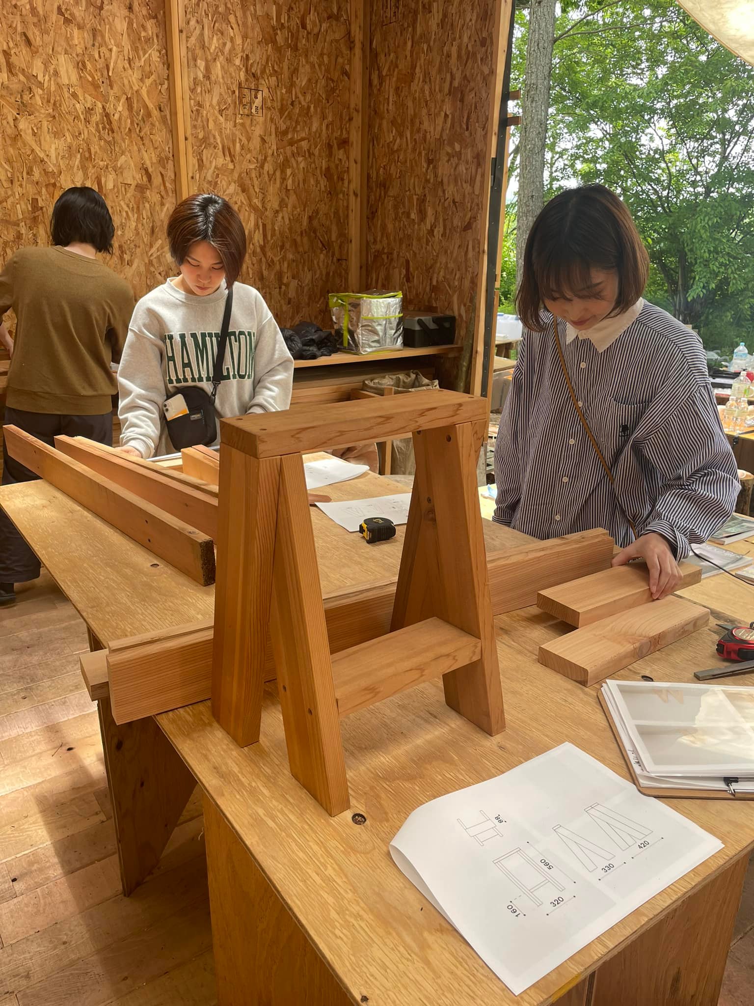 349333409_789003099292810_3605302901437506196_n