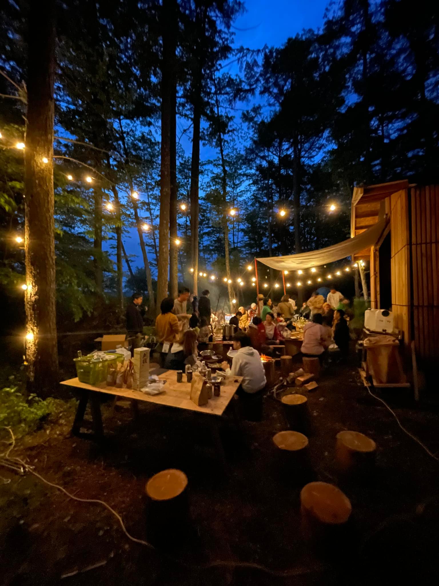 349668517_268128582288064_3957744500345030535_n