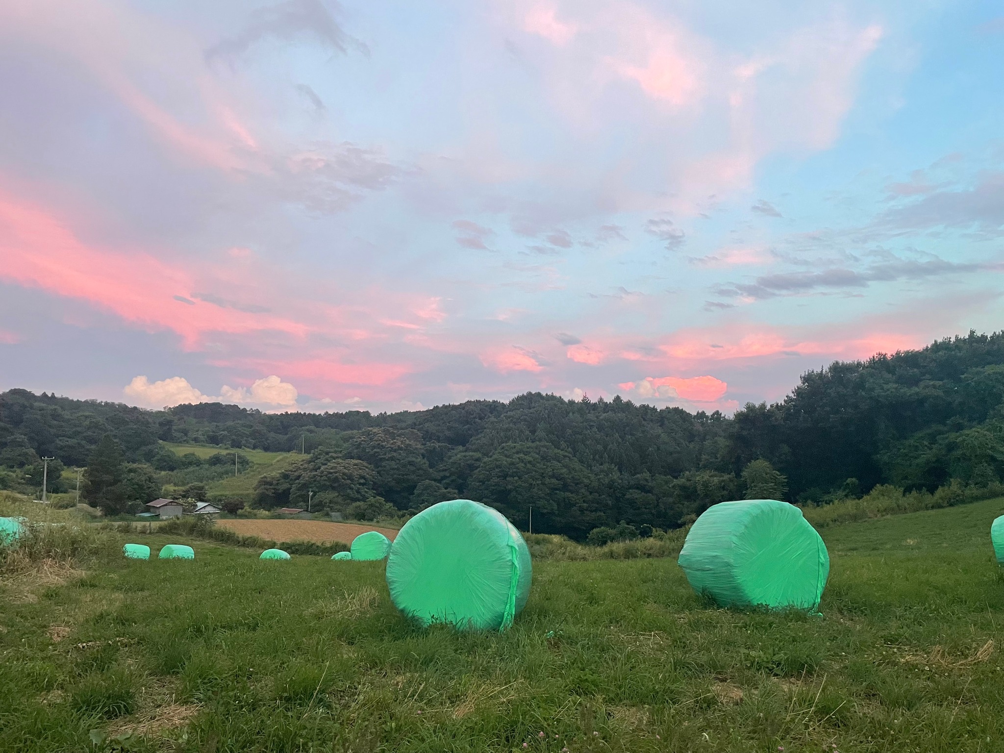 376003664_6830947883636546_1575073141940752455_n