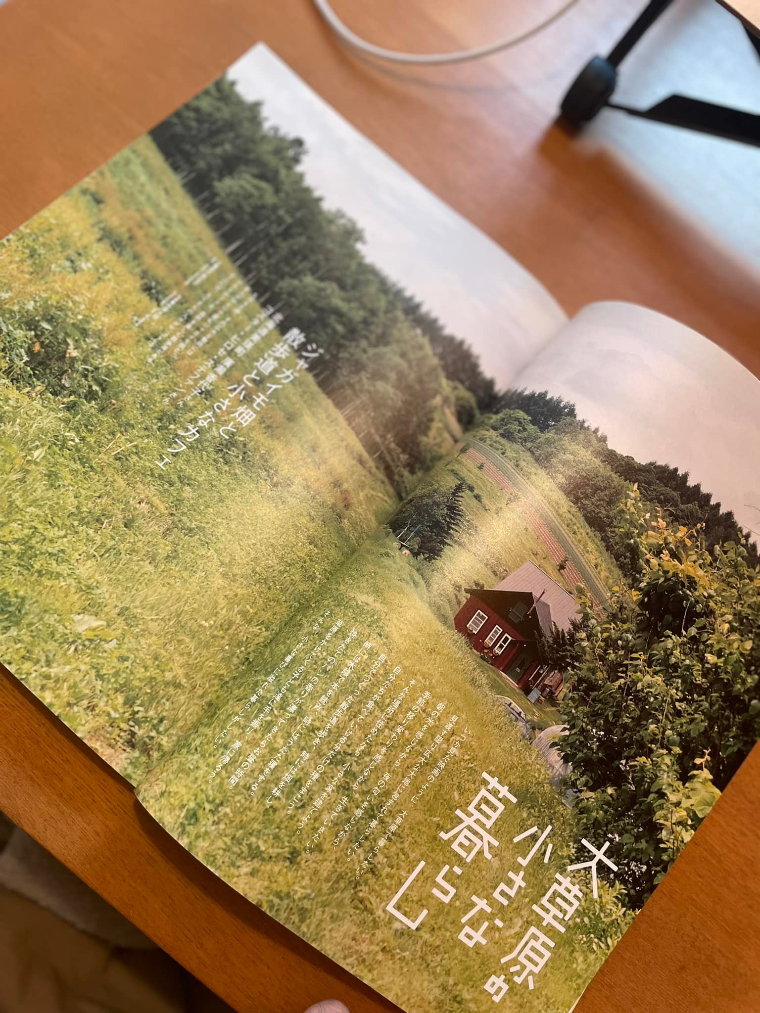 378265494_6830948106969857_5424051711129990432_n