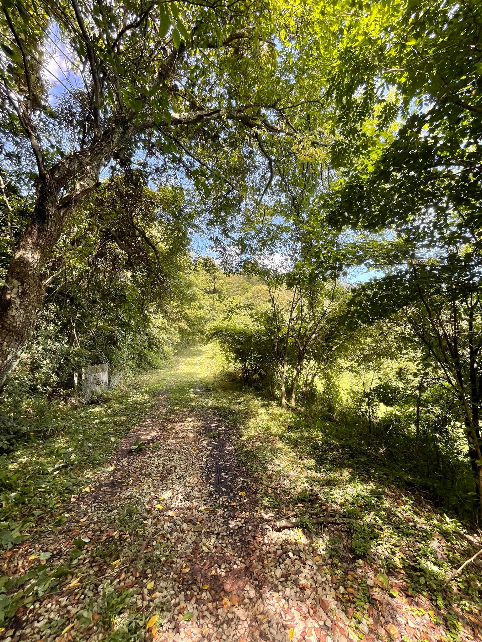 378482179_6825130664218268_2083447776519921082_n