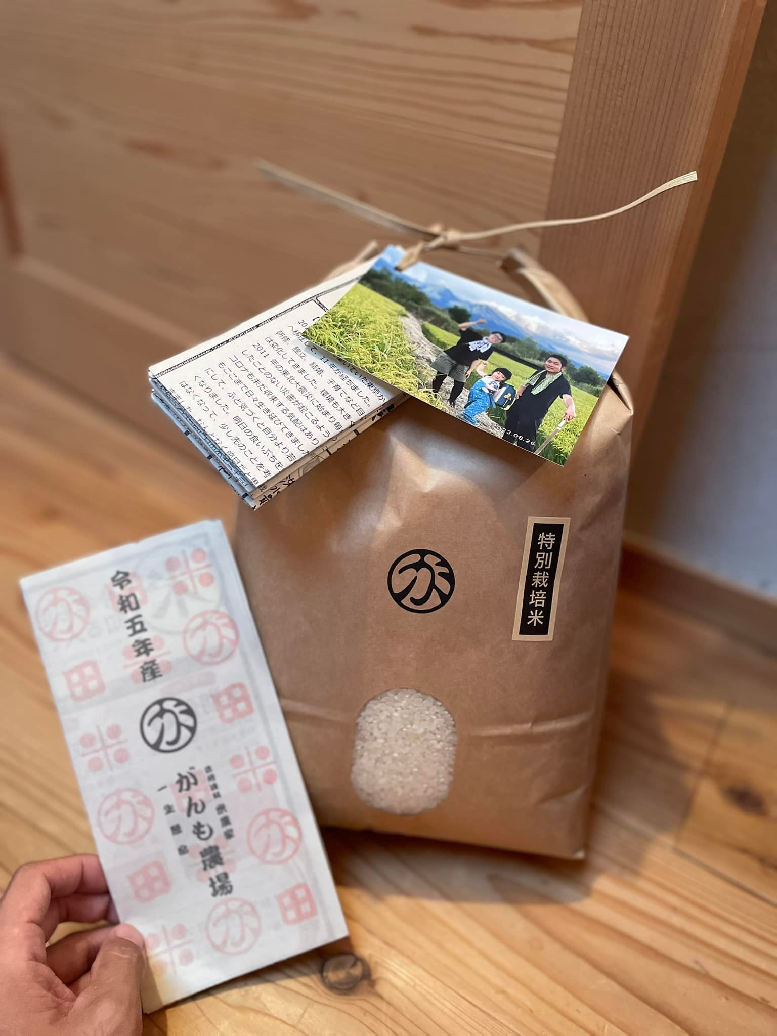 378519927_6827891480608853_1048184569562087624_n