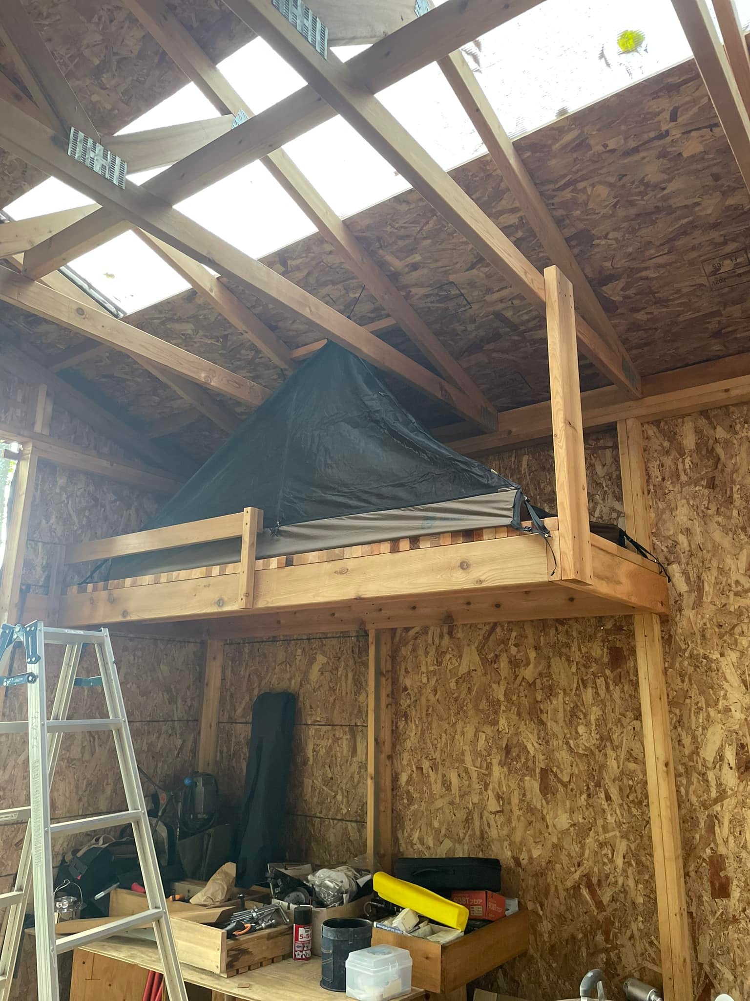 379456340_6837240716340596_7734190845856671710_n