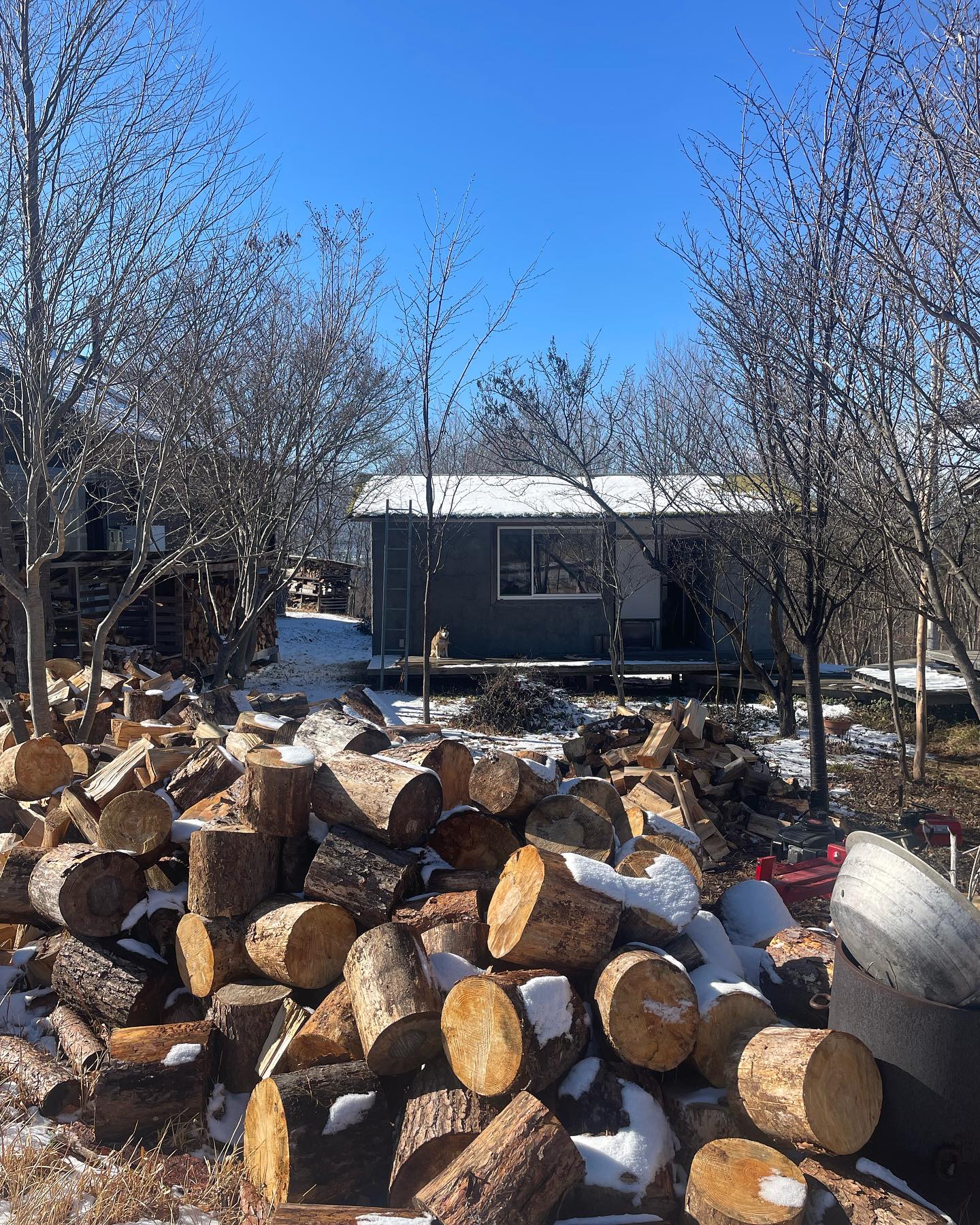 420042500_18334632181100470_4041237237102289052_n