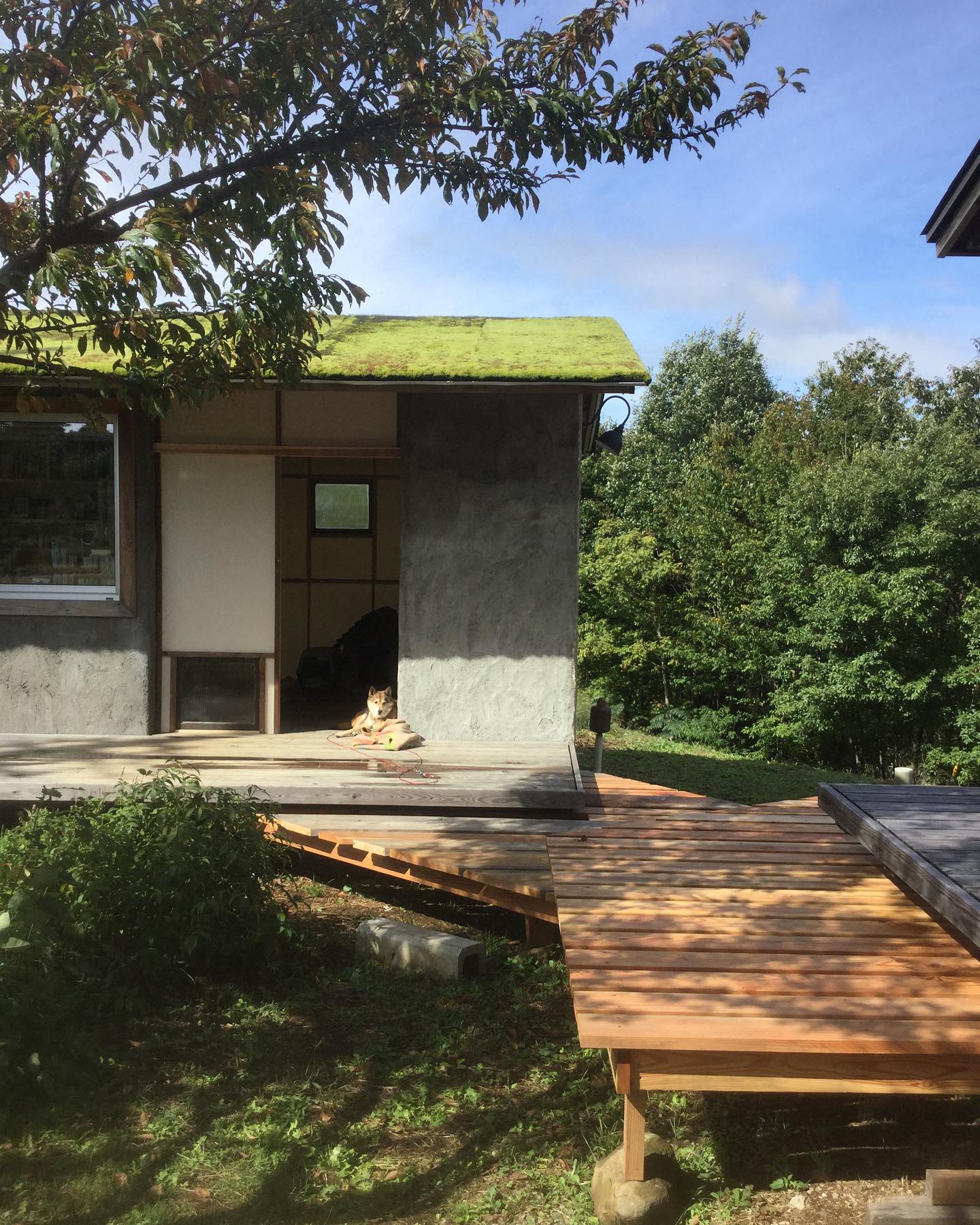 424655665_18336496360100470_6553520060405382548_n