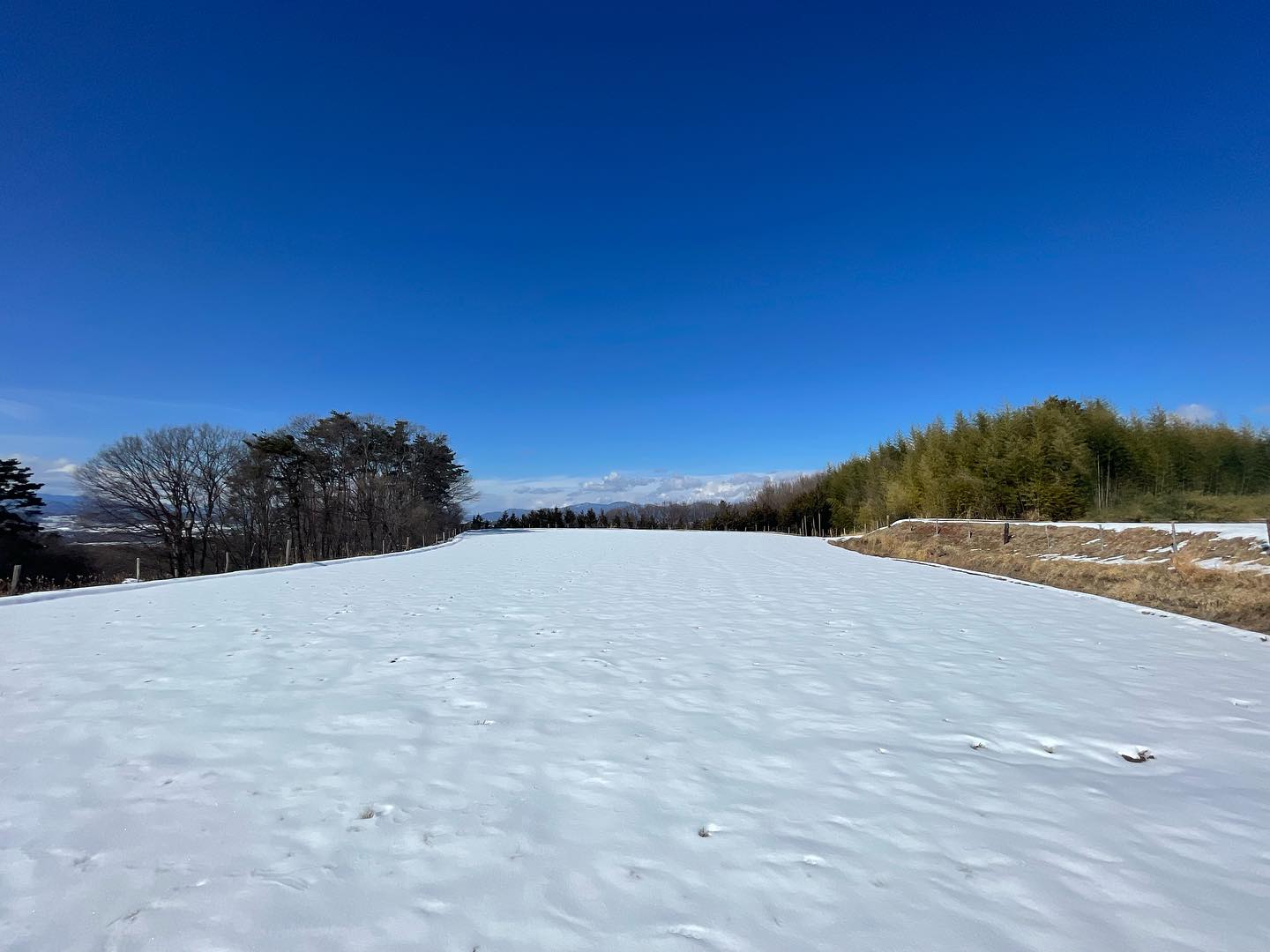 426384761_18338399008100470_5286552746515518406_n