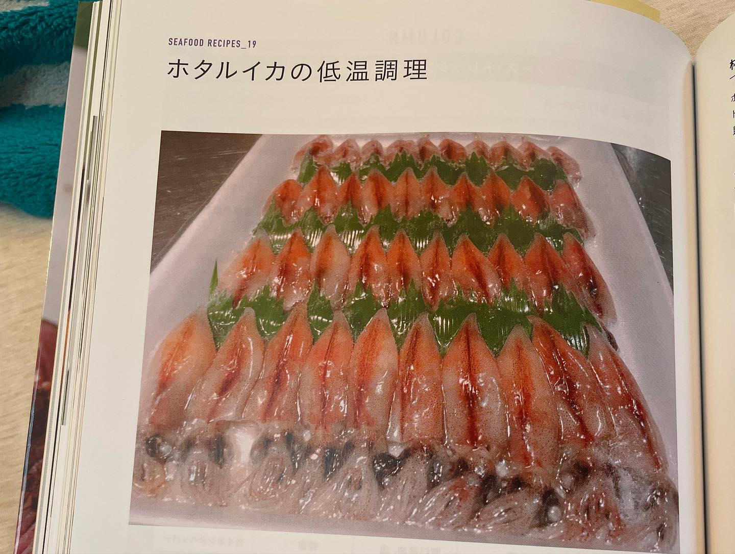 426483192_18338399017100470_8123843805685119787_n