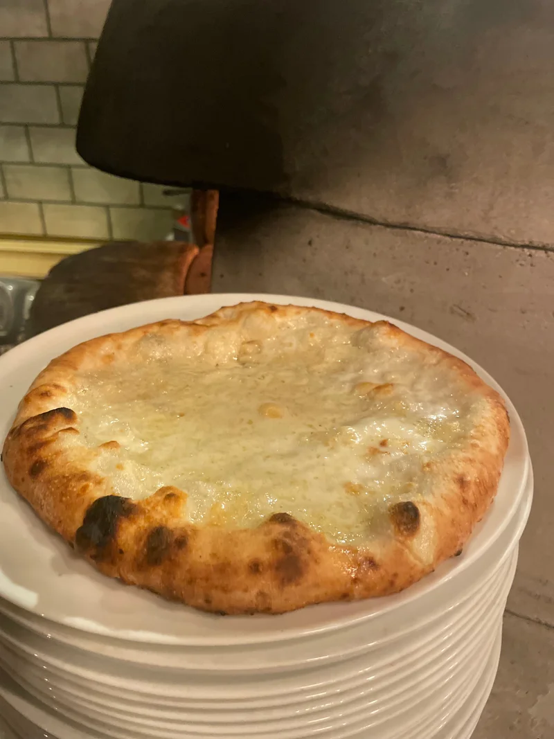 1711431486005-xla3GyVtek