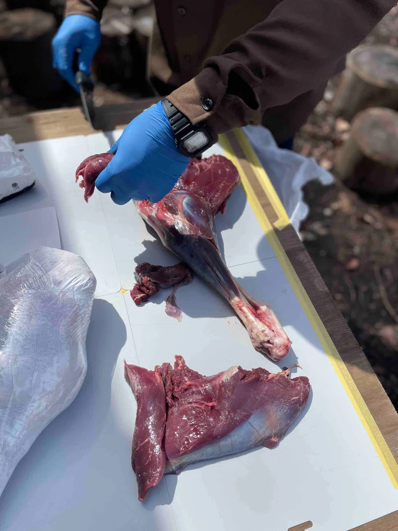 1715317487351-SfvzSvok24