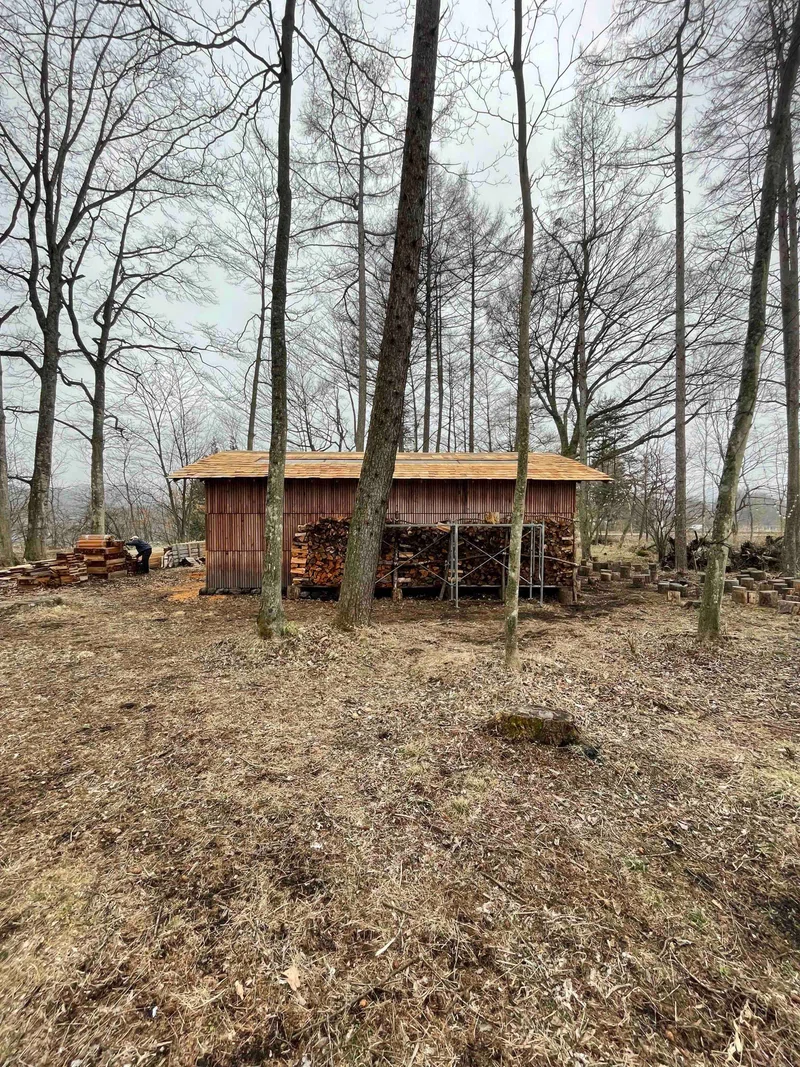 1715322179275-zc1XUbxWIM