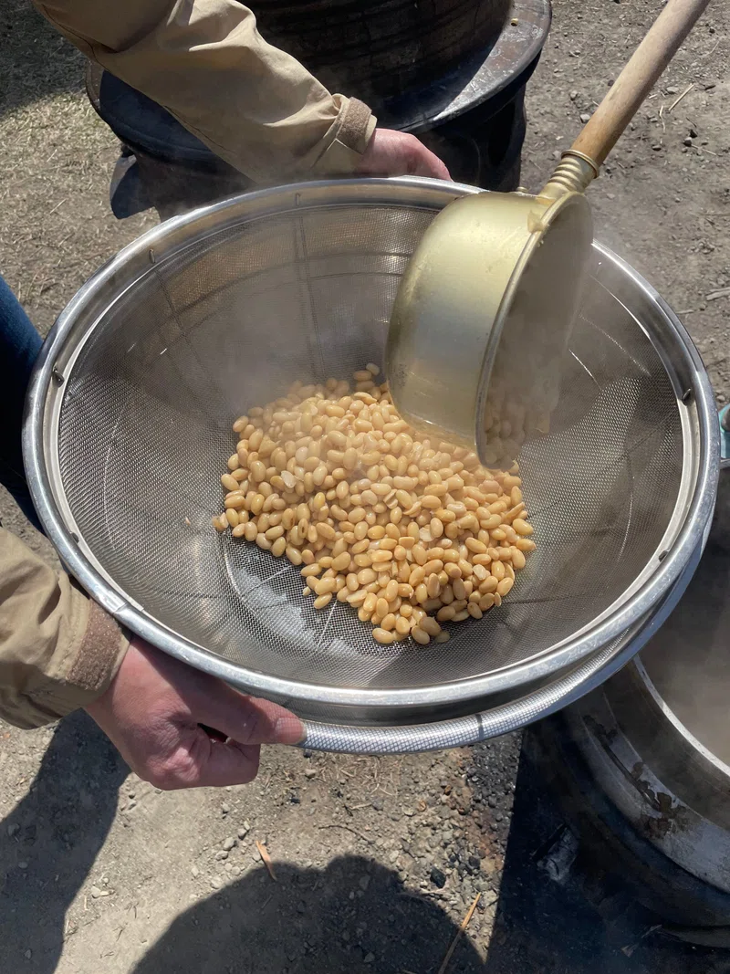 1715346772991-kWlnaJ4iF8