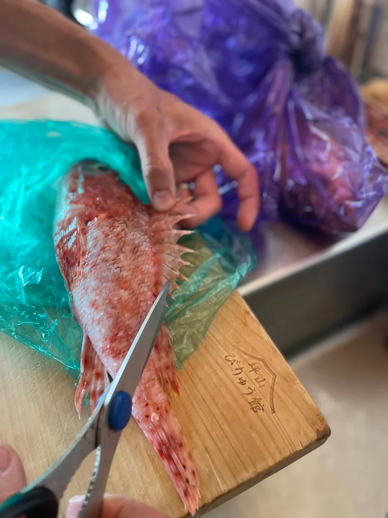 1715516795297-b00RxTPTlu