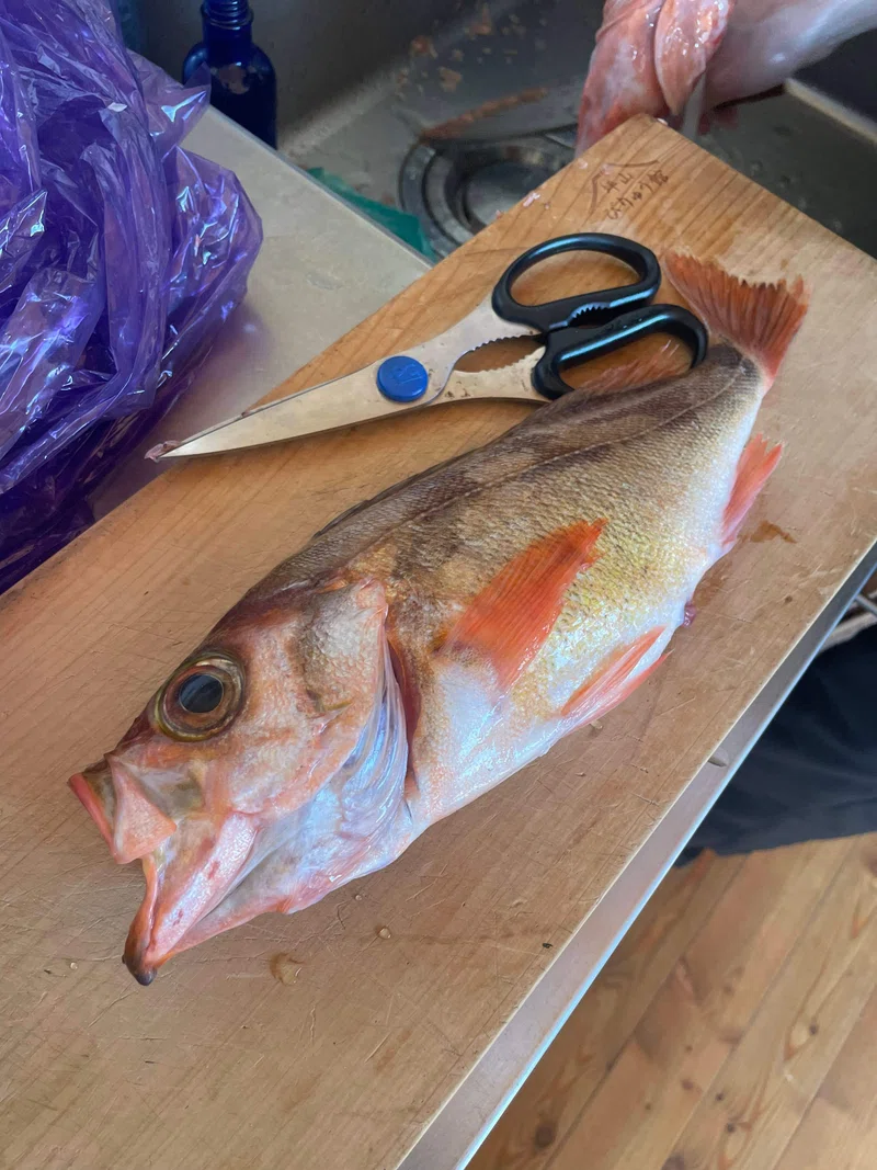 1715516941827-XkCgYjImXK