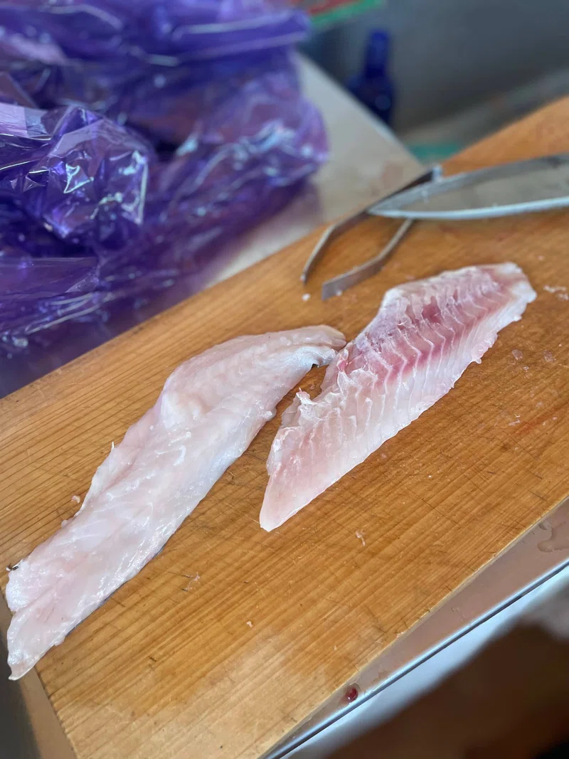 1715517033388-3FqFZX7b6l