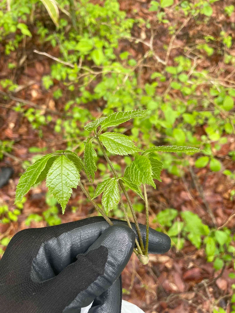 1715944755578-i08UeCC9je