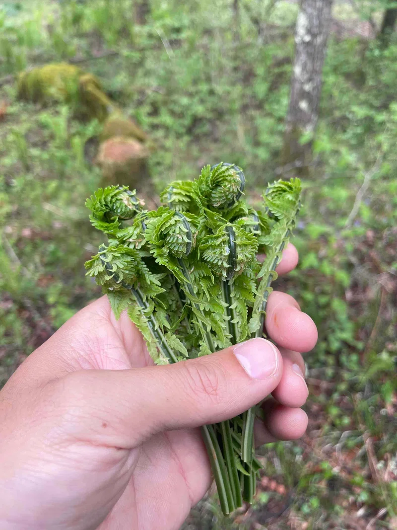 1715945499020-dC3s40P85T